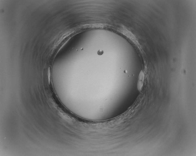 X0000067330013200604131712