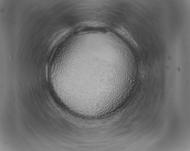 X0000067330014200604131712