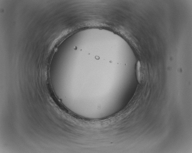 X0000067330015200604131712