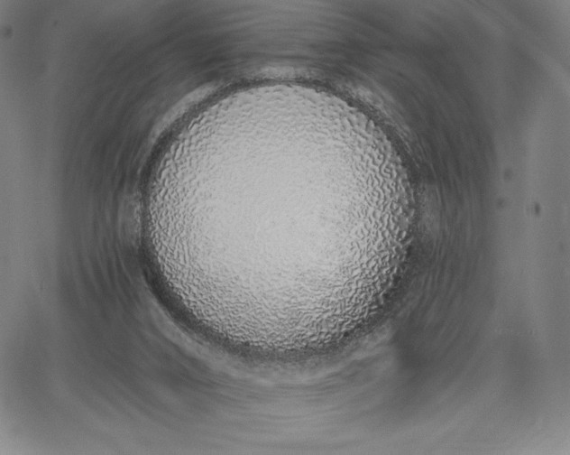 X0000067330016200604131712