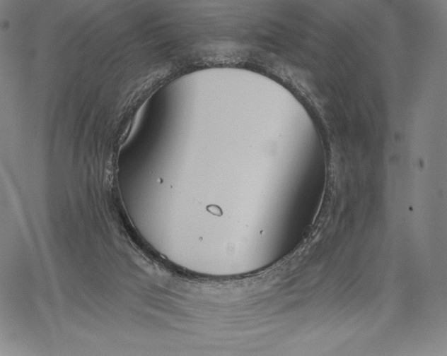 X0000067330017200604131712