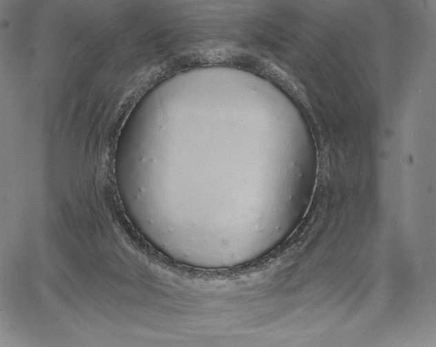 X0000067330018200604131712