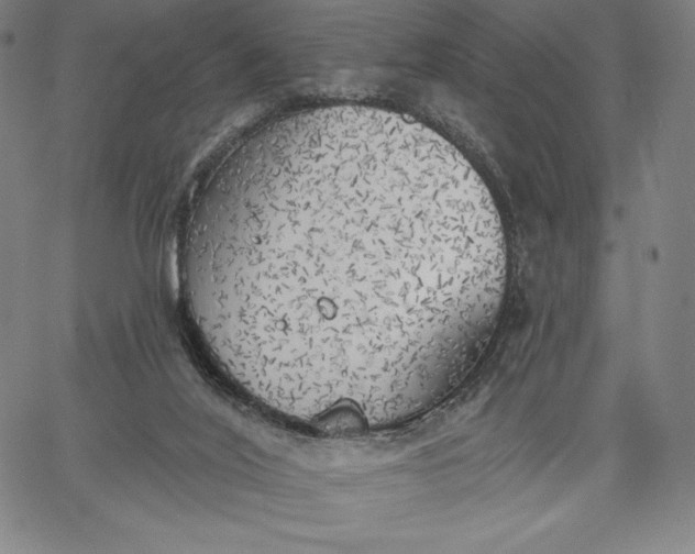 X0000067330020200604131712