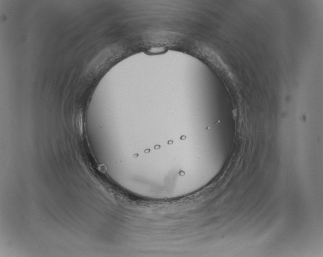 X0000067330021200604131712