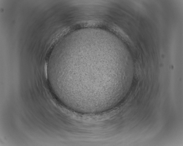 X0000067330022200604131712