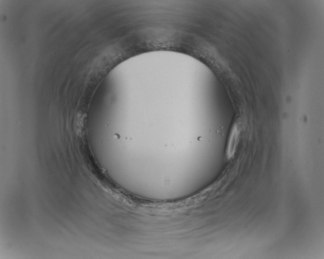 X0000067330025200604131712