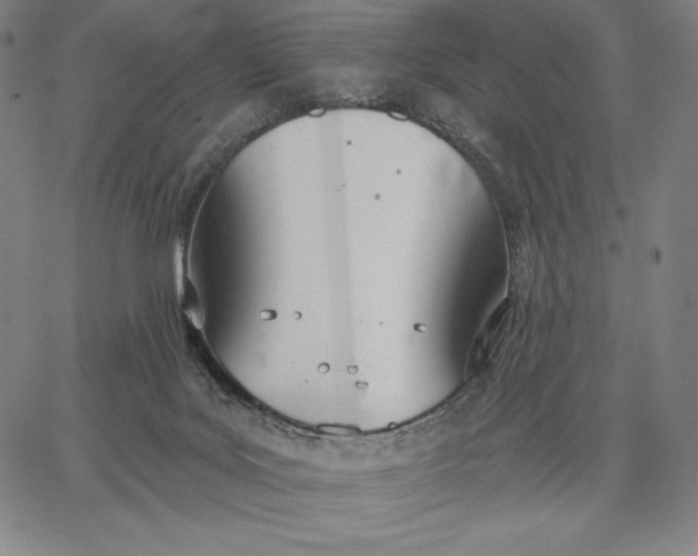 X0000067330027200604131712