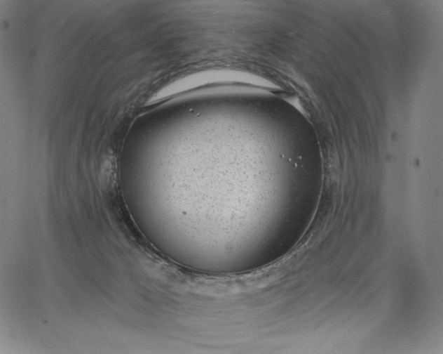 X0000067330029200604131712