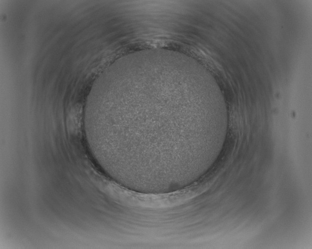 X0000067330030200604131712