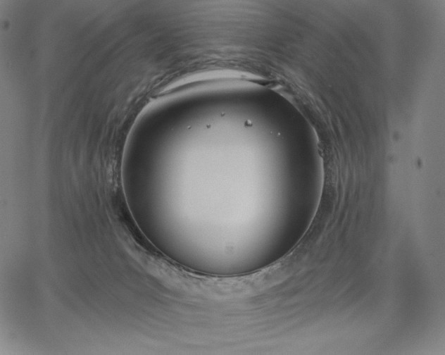 X0000067330031200604131712