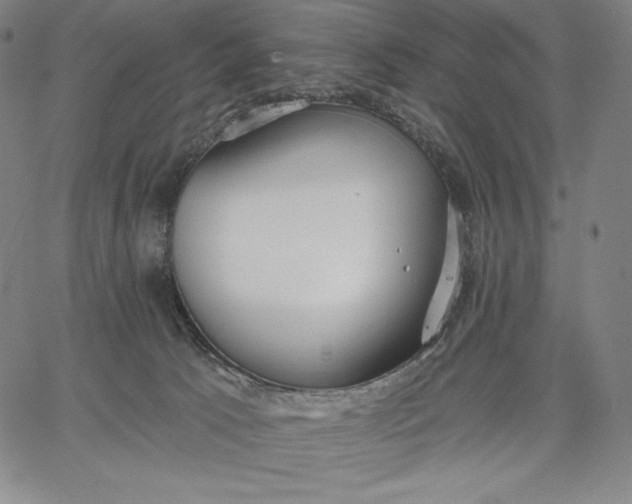 X0000067330033200604131712