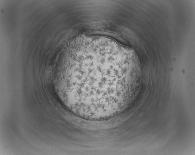 X0000067330034200604131712