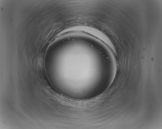 X0000067330035200604131712