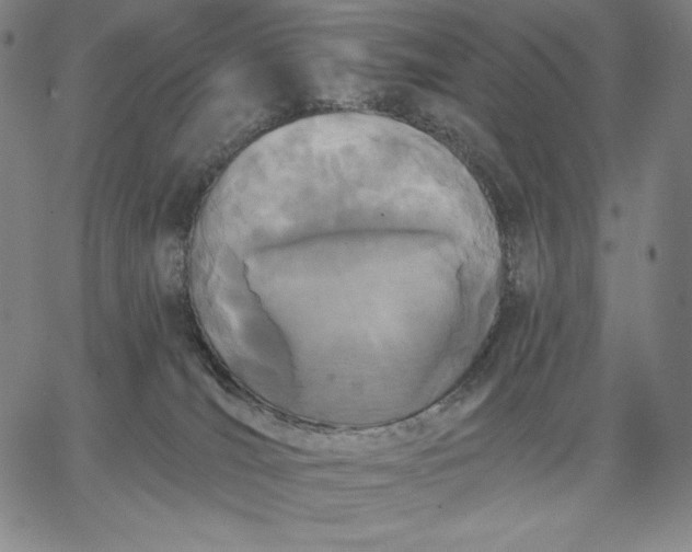 X0000067330036200604131712