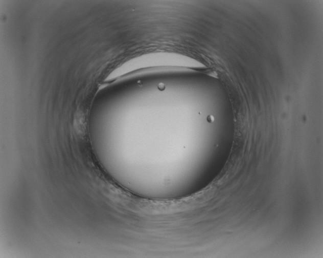 X0000067330037200604131712