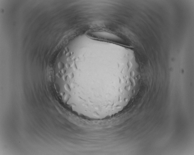 X0000067330038200604131712