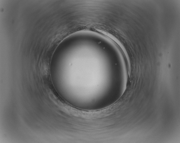 X0000067330039200604131712