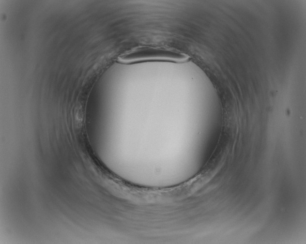 X0000067330040200604131712