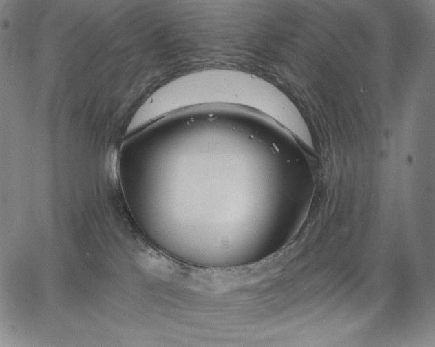 X0000067330041200604131712