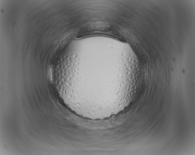 X0000067330042200604131711