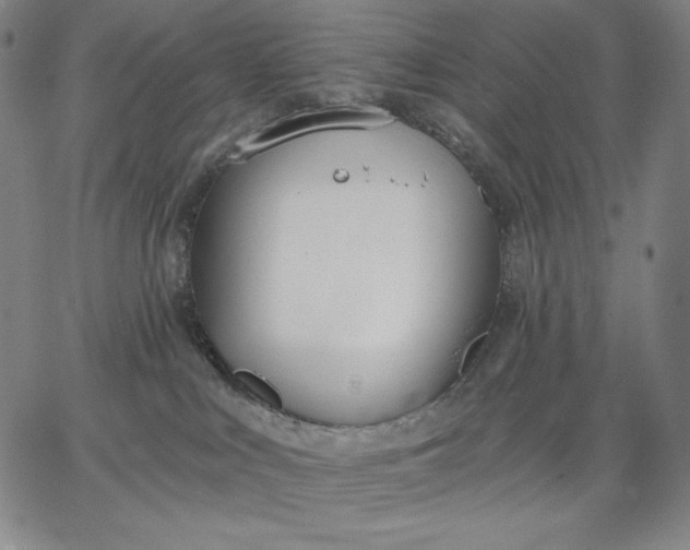 X0000067330043200604131711