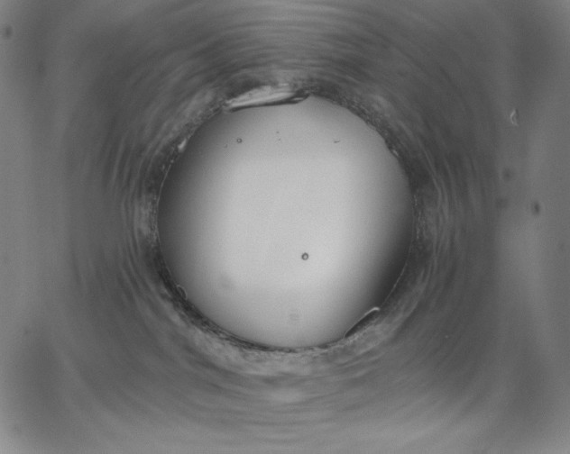 X0000067330044200604131711