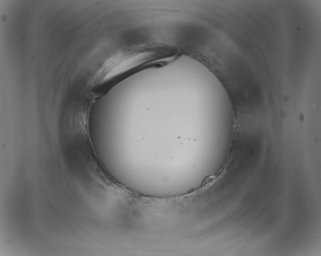 X0000067330045200604131711