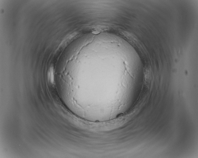 X0000067330046200604131711