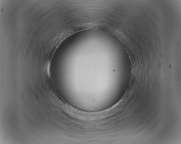 X0000067330047200604131711