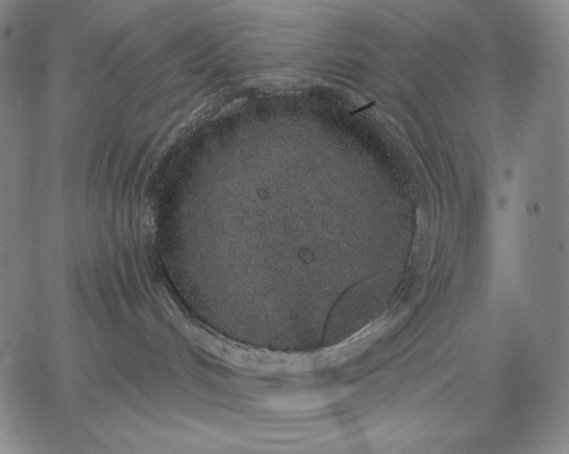 X0000067330048200604131711