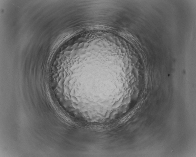 X0000067330049200604131711