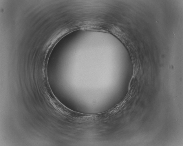 X0000067330050200604131711