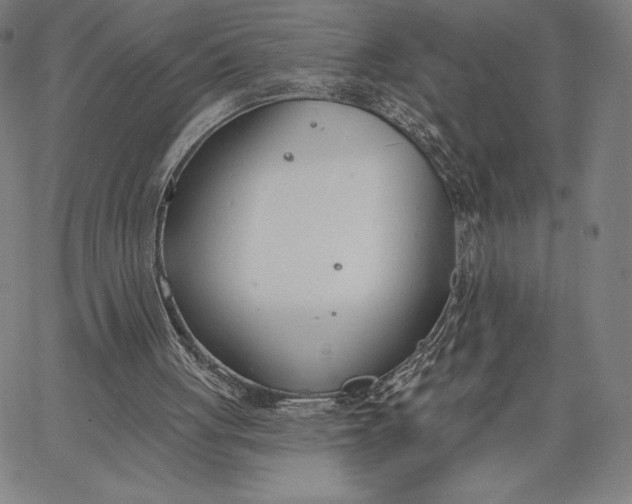 X0000067330051200604131711