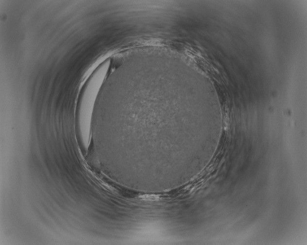 X0000067330052200604131711