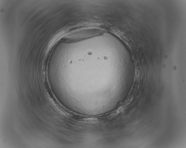 X0000067330053200604131711