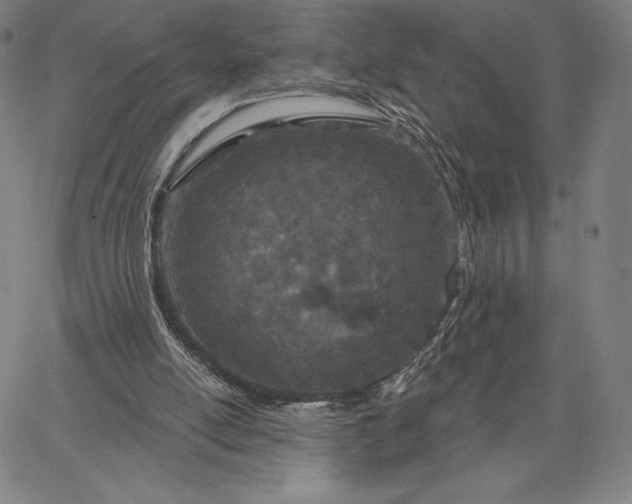 X0000067330054200604131711