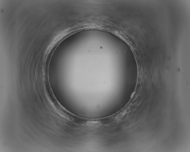 X0000067330055200604131711