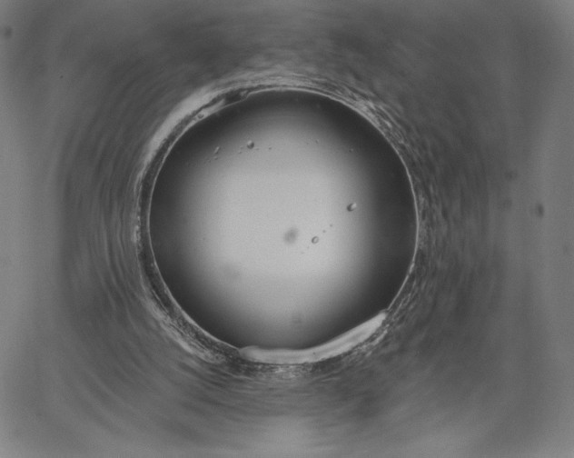 X0000067330056200604131711