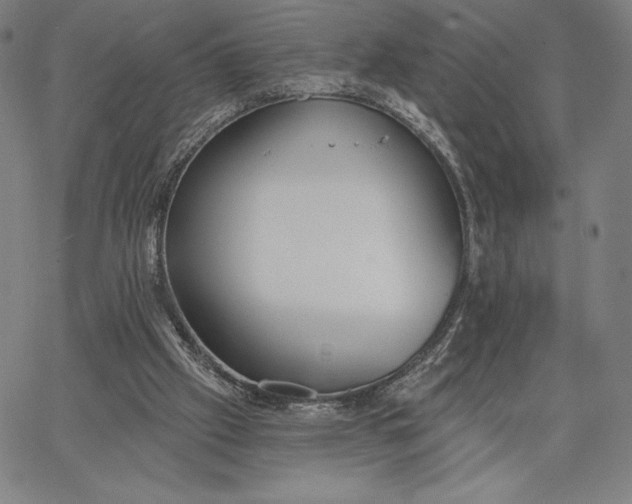 X0000067330057200604131711