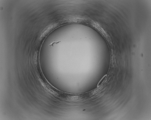 X0000067330058200604131711