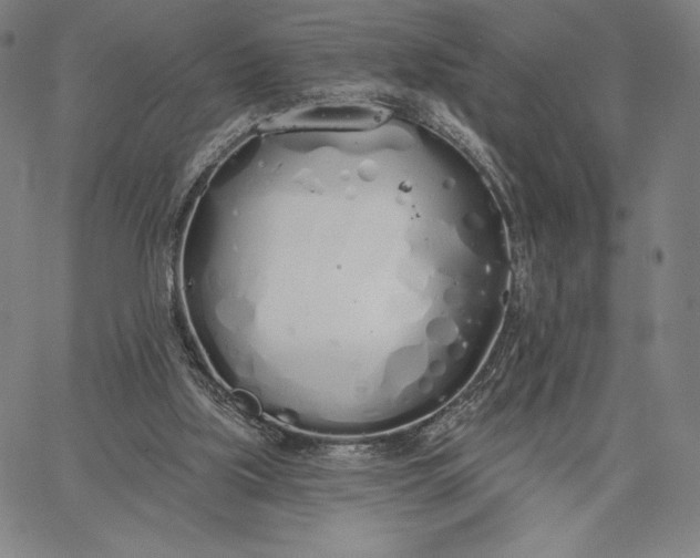 X0000067330059200604131711