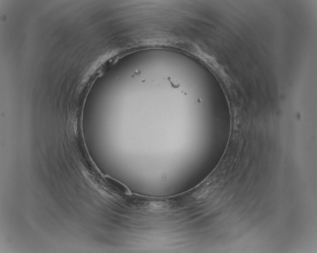 X0000067330060200604131711