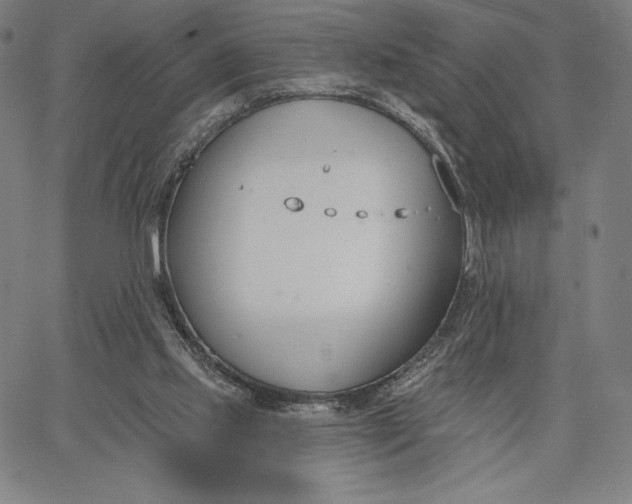 X0000067330061200604131711