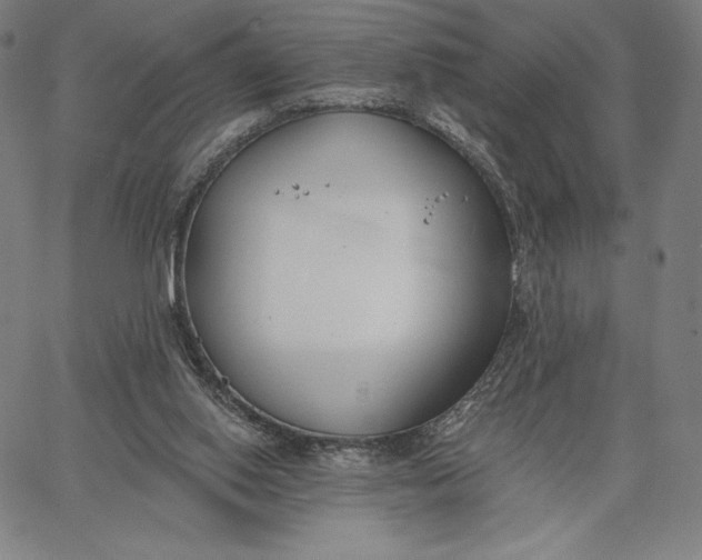 X0000067330062200604131711