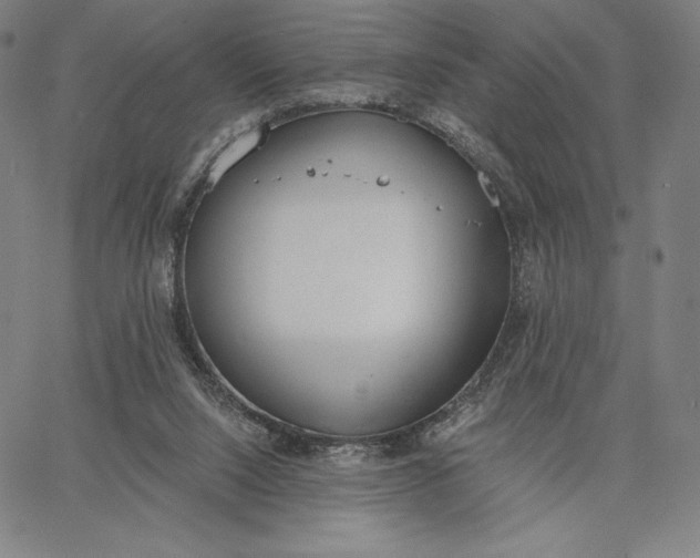 X0000067330064200604131711