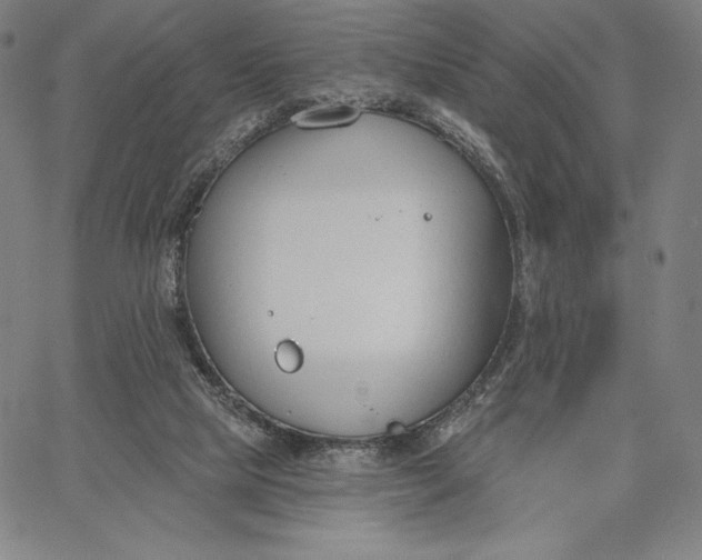 X0000067330065200604131711