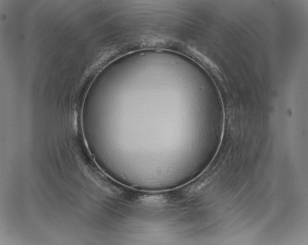 X0000067330067200604131711