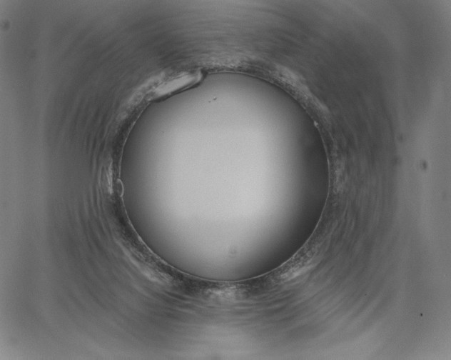 X0000067330068200604131711