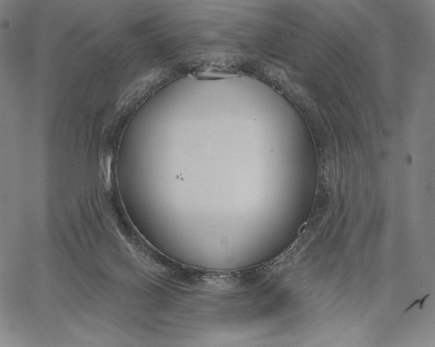 X0000067330070200604131711