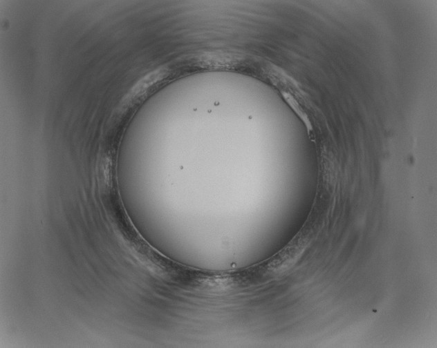 X0000067330071200604131711